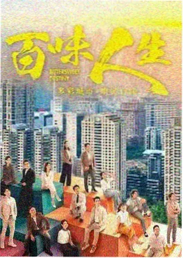 最近热播电视剧雾港回响封面